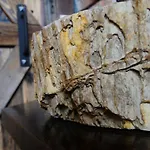 Gawra